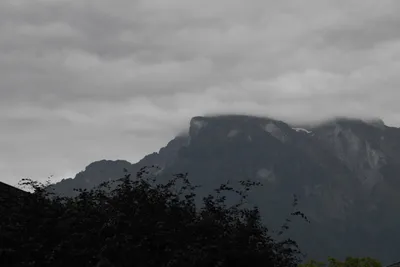 DSC_6090 (Large).JPG